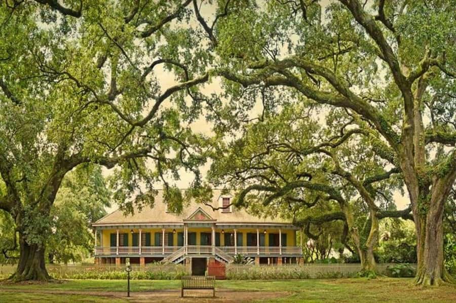 New Orleans: Laura Plantation Tour with Transportation - Why Laura Plantation feels different from a standard plantation visit