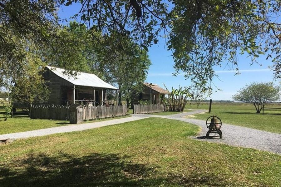 New Orleans: Oak Alley & Laura Plantation Tour w/Transport - Key details to know before booking