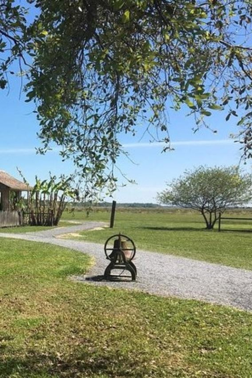 New Orleans: Oak Alley & Laura Plantation Tour w/Transport - Oak Alley delivers the famous view