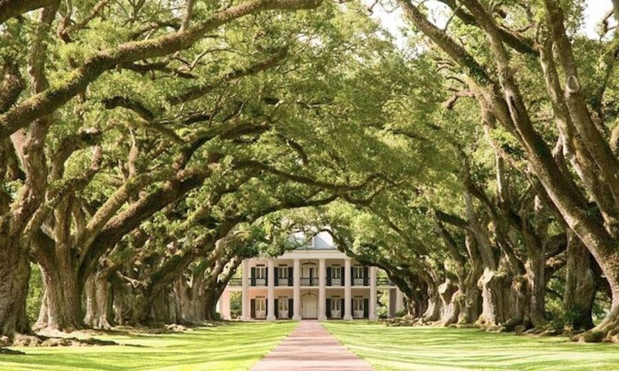 New Orleans: Oak Alley or Laura Plantation & Airboat Tour - Choosing between Oak Alley and Laura Plantation