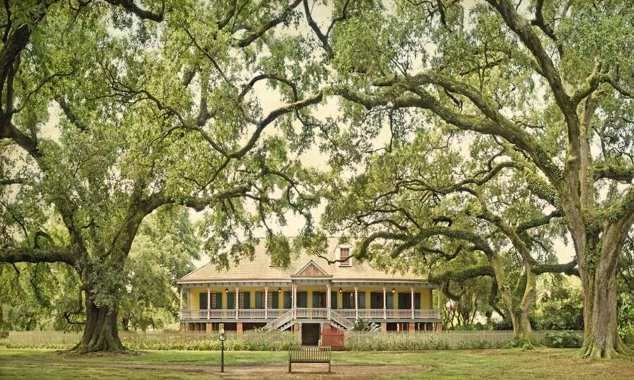 New Orleans: Oak Alley or Laura Plantation & Airboat Tour - The private-property airboat experience