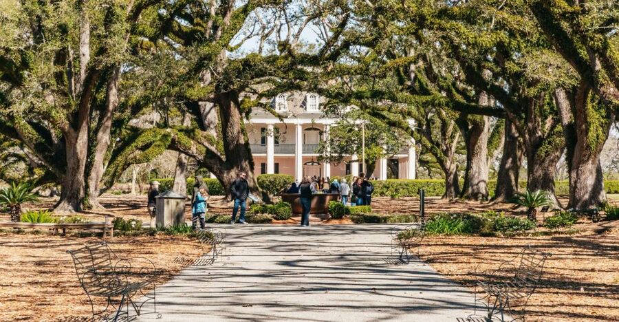 New Orleans: Oak Alley Plantation & Airboat Swamp Combo Tour - Key points to know before booking