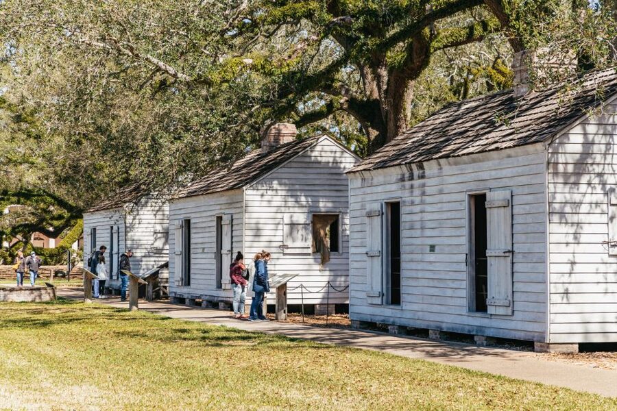 New Orleans: Oak Alley Plantation & Airboat Swamp Combo Tour - Should you book the Oak Alley and airboat combination?