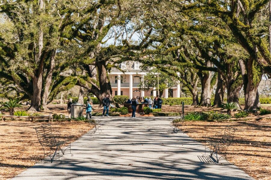 New Orleans: Oak Alley Plantation & Airboat Swamp Combo Tour - Oak Alley Plantation puts beauty beside a difficult past