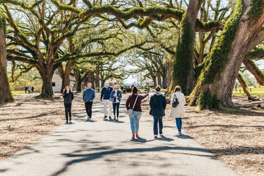 New Orleans: Oak Alley Plantation & Airboat Swamp Combo Tour - Transport is convenient, but comfort varies