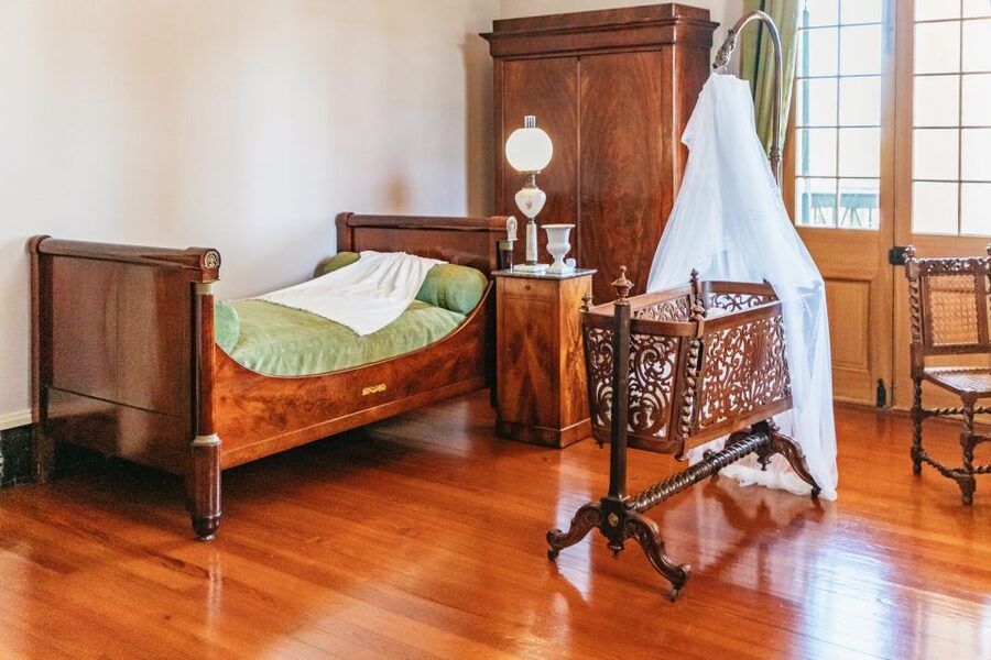 New Orleans: Oak Alley Plantation & Airboat Swamp Combo Tour - Who will enjoy this day most?
