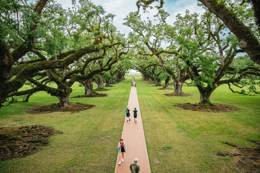 New Orleans: Oak Alley Plantation and Swamp Cruise Day Trip - Key points to know before you book