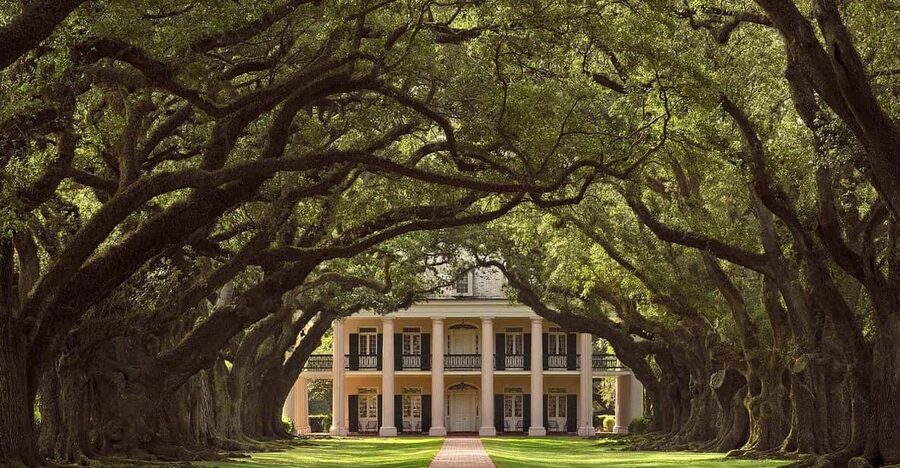 New Orleans: Oak Alley Plantation Half Day Tour - My booking advice