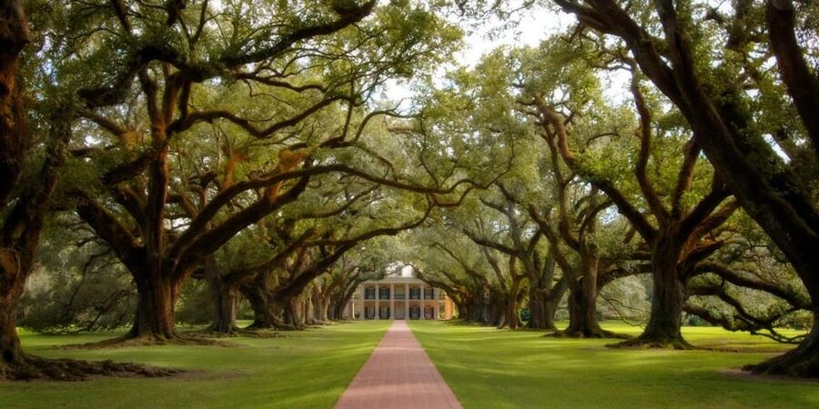 New Orleans: Oak Alley Plantation Half Day Tour - Three hours under Oak Alley’s oaks