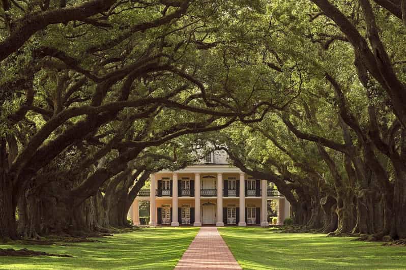 New Orleans: Oak Alley Plantation Half Day Tour - The ride from New Orleans in a 12-person van