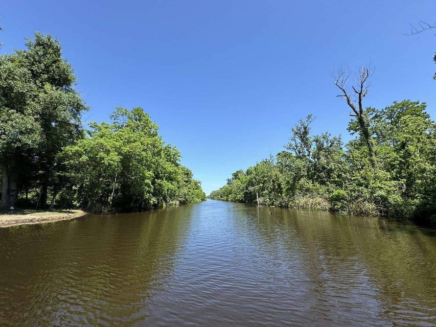 New Orleans: Oak Alley Plantation -N- Swamp Tour Full Day - Who should book this day trip