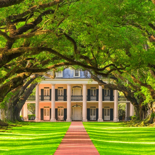 New Orleans: Oak Alley Plantation Tour and Transportation - Walking beneath the 300-year-old oaks