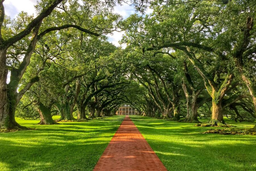 New Orleans: Oak Alley Plantation Tour with Transportation - Key points to know before you book