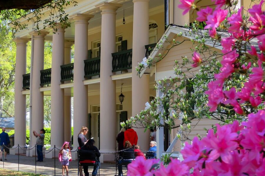 New Orleans: Oak Alley Plantation Tour with Transportation - How much time will you actually have?