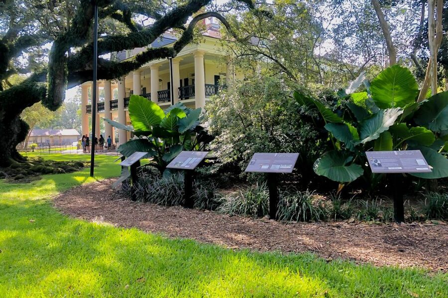 New Orleans: Oak Alley Plantation Tour with Transportation - Is the $89 price fair?