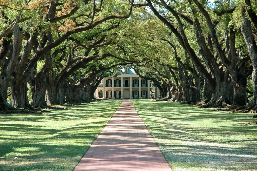 New Orleans: Single Plantation and Pontoon Swamp Day Trip - Oak Alley, architecture with a harder story