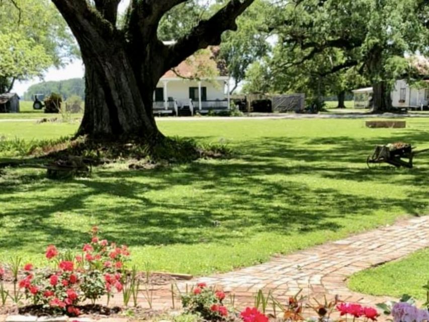 New Orleans: St. Joseph Plantation Guided Tour - Who will enjoy St. Joseph Plantation most