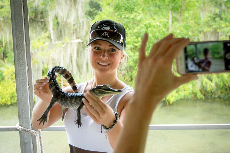 New Orleans: Swamp Boat Ride & Oak Alley Plantation Tour - Key points to know before booking