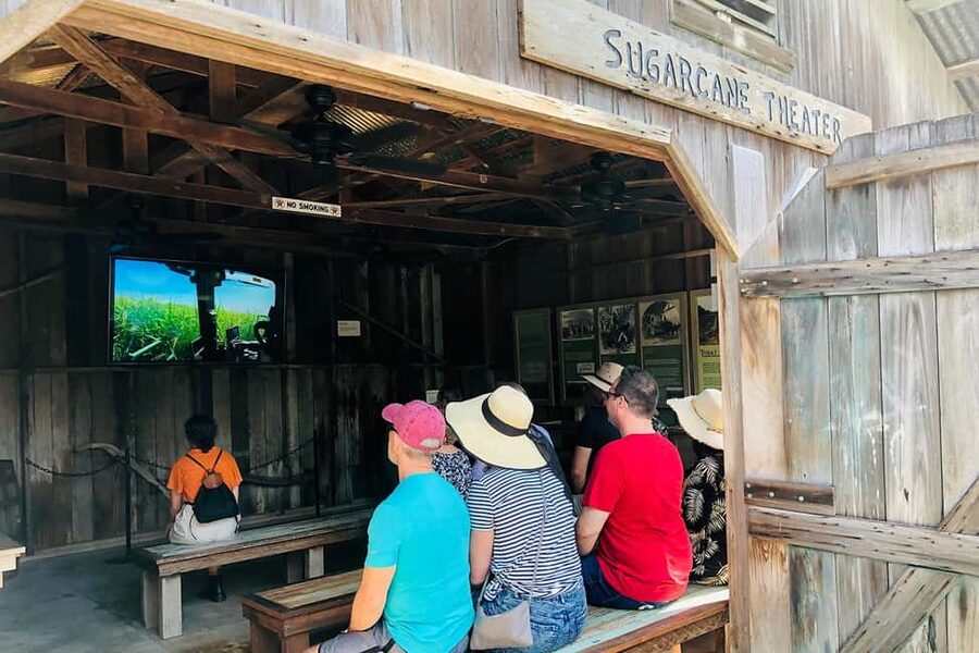 New Orleans: Swamp Boat Ride & Oak Alley Plantation Tour - Who should book this tour?