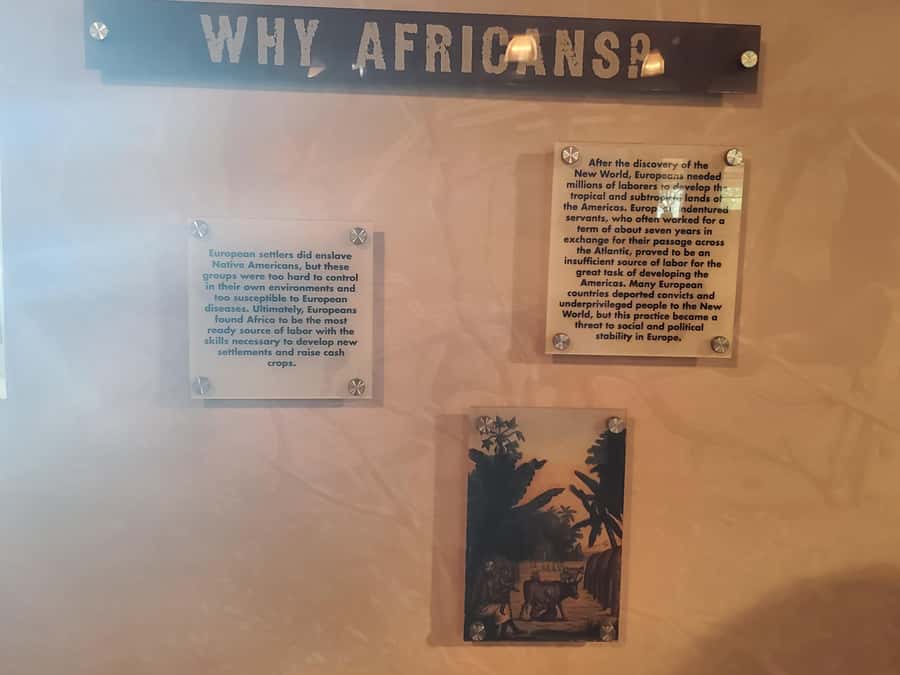 New Orleans: Whitney Plantation Half-Day Tour (Guided Tour) - Key points to know