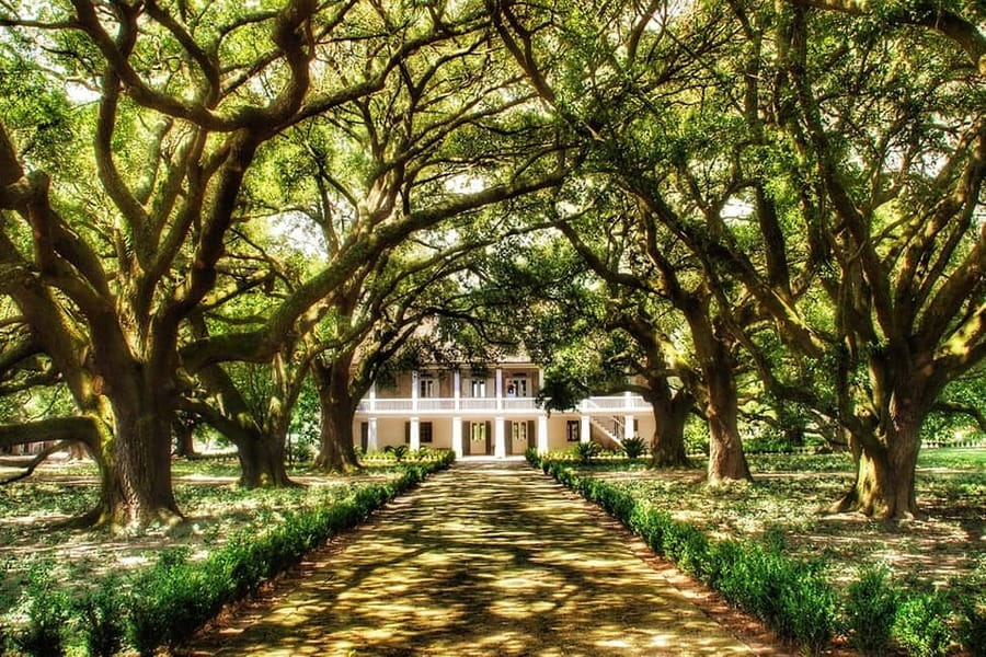 New Orleans: Whitney Plantation Tour with Transportation - Key points to know before booking