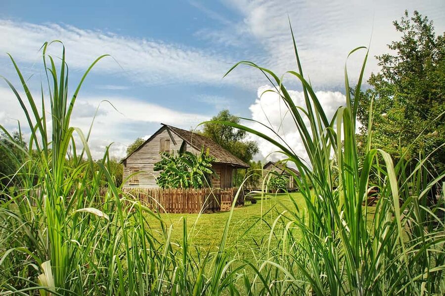 New Orleans: Whitney Plantation Tour with Transportation - Is the $89 price fair?