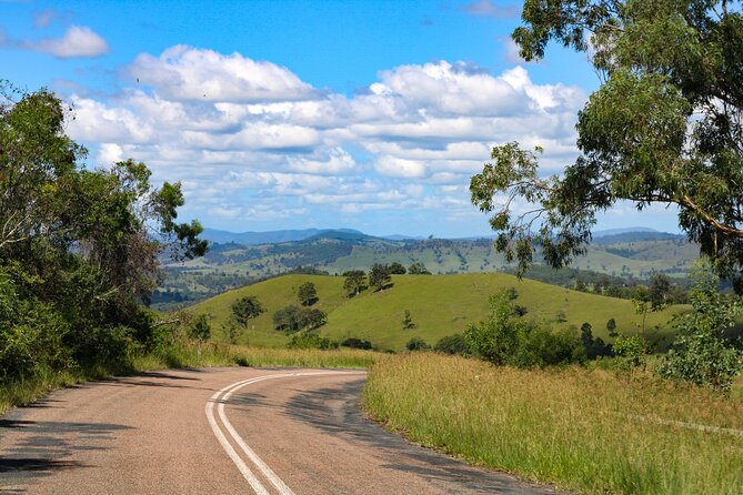 Newcastle: Country Towns River & Farm Tour with BBQ - BBQ lunch and local produce