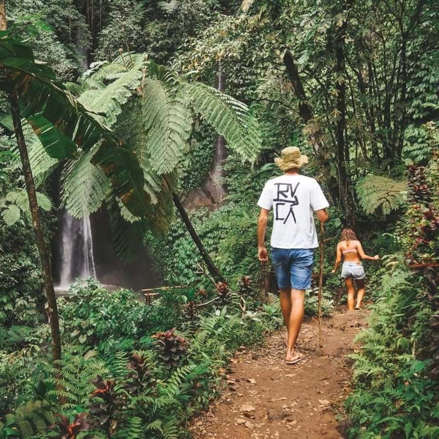 North Bali: Monkey Forest -Waterfall- Rice Terrace-Ulun Danu - Why this North Bali route works