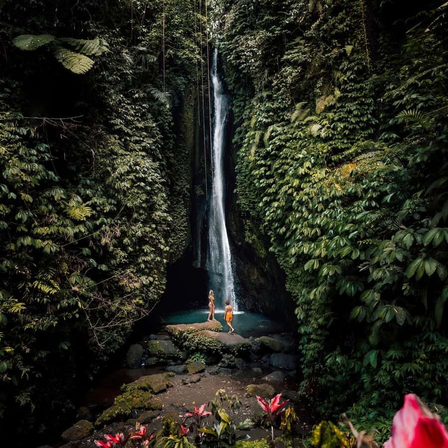 North Bali: Monkey Forest -Waterfall- Rice Terrace-Ulun Danu - Leke Leke Waterfall, with time for a swim