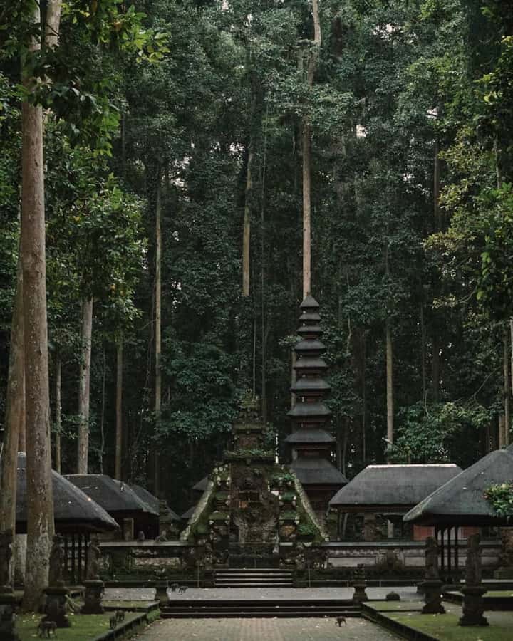 North Bali: Monkey Forest -Waterfall- Rice Terrace-Ulun Danu - Guides, flexibility, and what to request