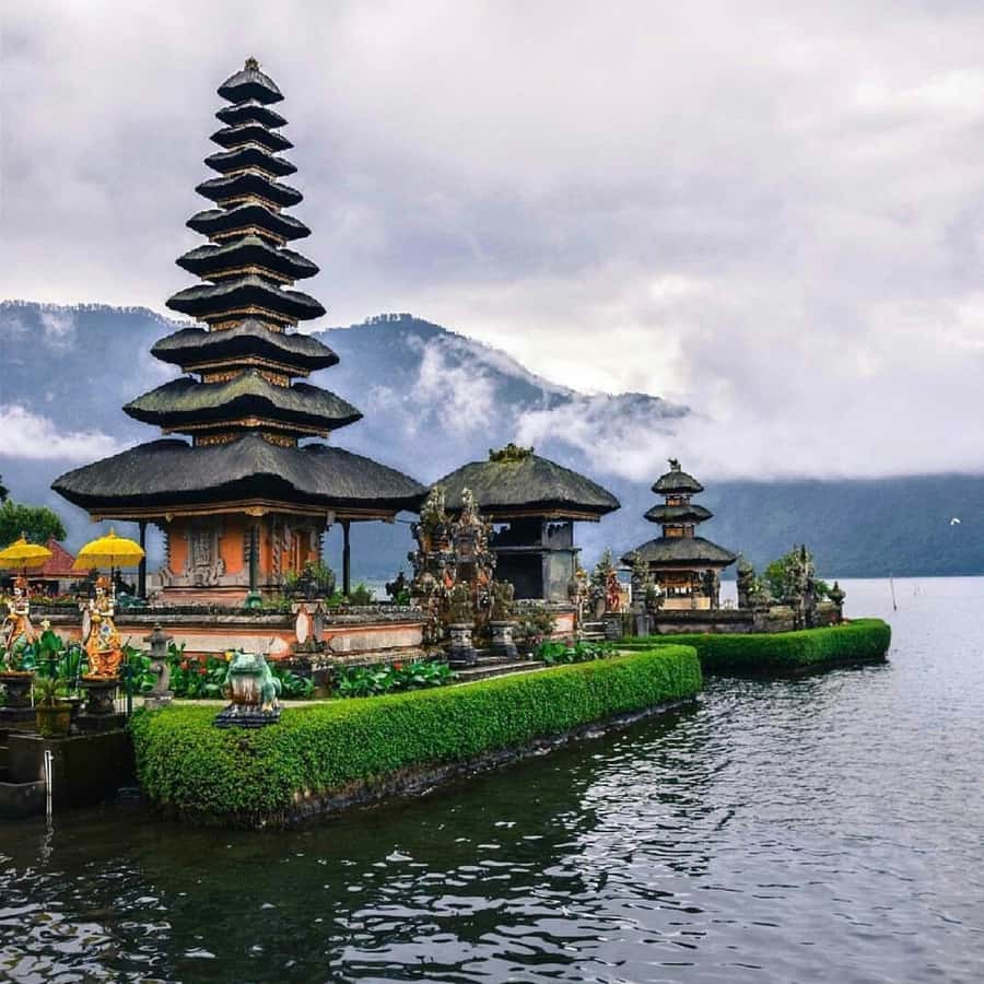 North Bali: Monkey Forest -Waterfall- Rice Terrace-Ulun Danu - Who should book this experience