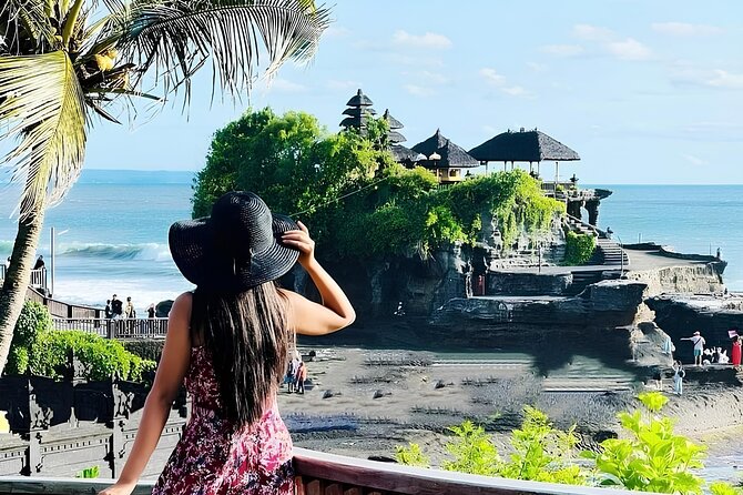 North Bali Nature Escape Rice Terraces, Temples & Waterfall - What this North Bali day is really like