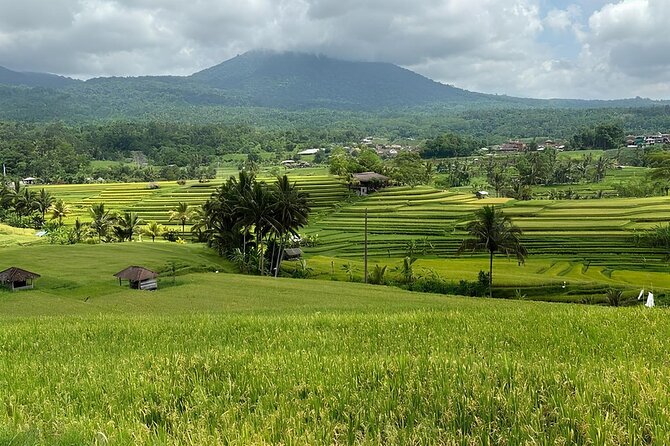North Bali Nature Escape Rice Terraces, Temples & Waterfall - Banyumala Twin Waterfall and the forest walk