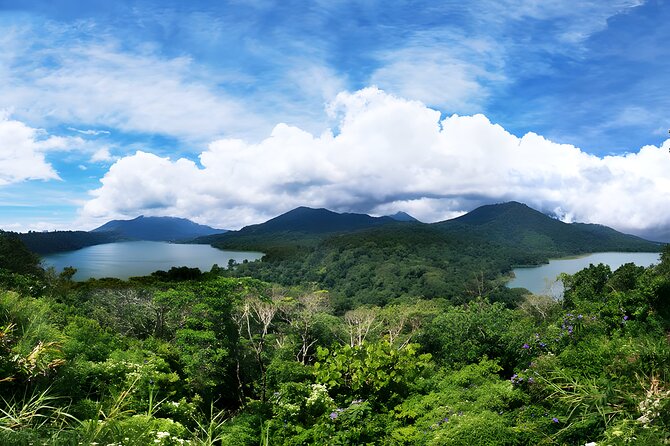 North Bali Tour - Visiting Rice Terrace, Lake, Waterfall, Temple and Hot Spring - Tamblingan Lake and the Buyan Mountain Area
