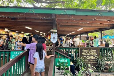 North Shore Dole Pineapple Farm Tour