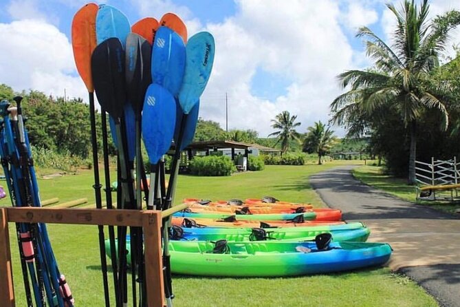 North Shore Farm: Anahulu River, Kayak-Sup, Turtles, Lunch & More - Lunch with shrimp, kalua pig, and vegetarian noodles
