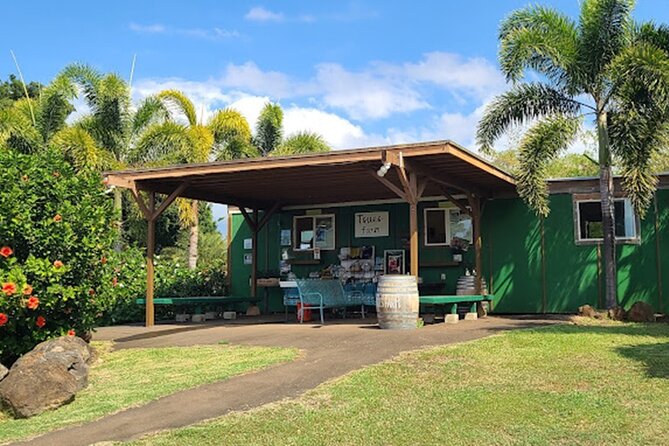 North Shore Farm: Anahulu River, Kayak-Sup, Turtles, Lunch & More - Coconut, açai, smoothies, and shave ice