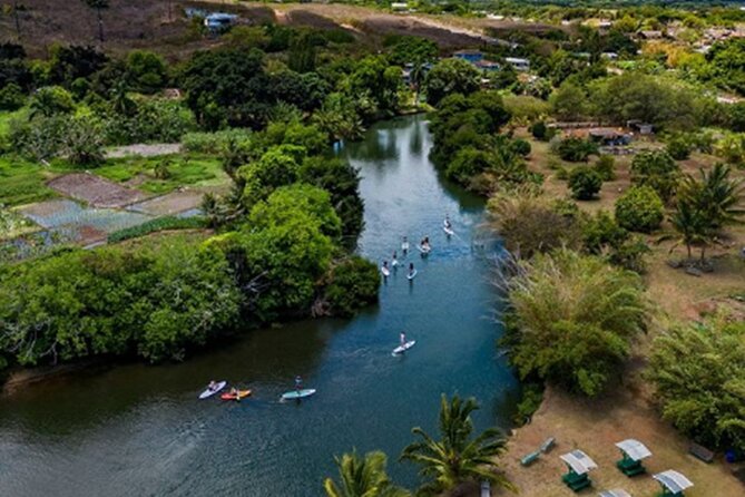 North Shore Farm: Anahulu River, Kayak-Sup, Turtles, Lunch & More - Choosing a kayak or paddleboard