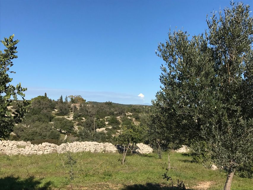 Noto: Farm to Fork in Sicily - Cooking Class in a Farm - What the $169.93 price includes