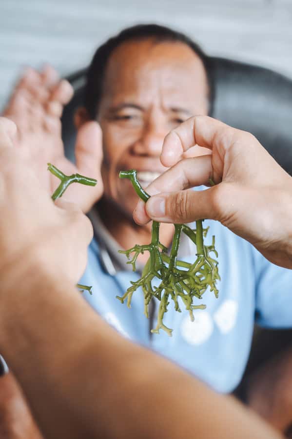 Nusa Penida: Ecotourism, Seaweed Farming & East Tour - Meeting local families over lunch