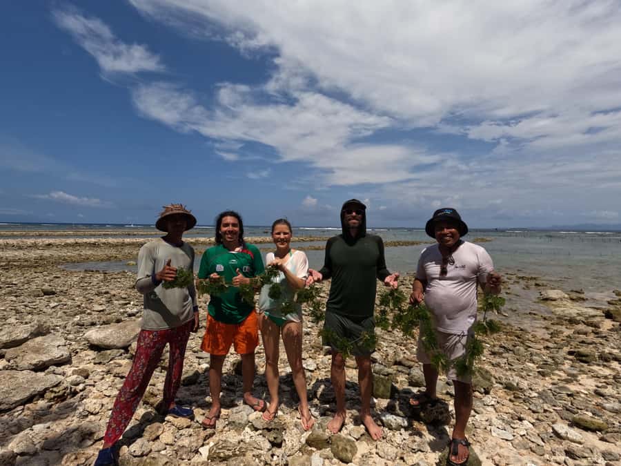 Nusa Penida: Ecotourism, Seaweed Farming & East Tour - Who will get the most from this tour