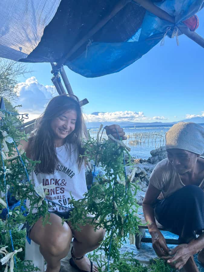 Nusa Penida: Ecotourism, Seaweed Farming & East Tour - What to know before booking