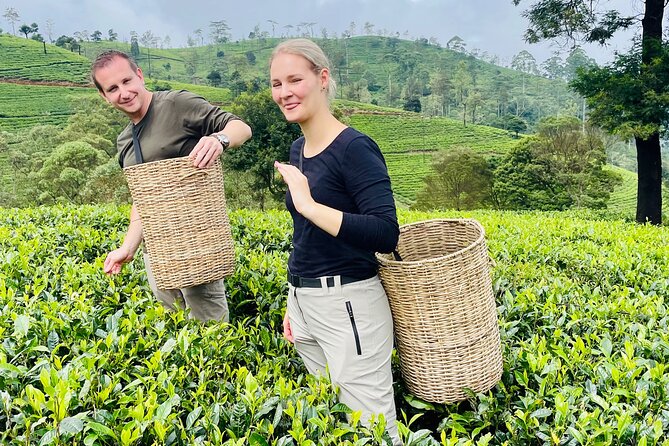 NuwaraEliya Tea Factory,Plantation & Water Falls Hike Tour by Car - Ramboda Falls brings the sound back