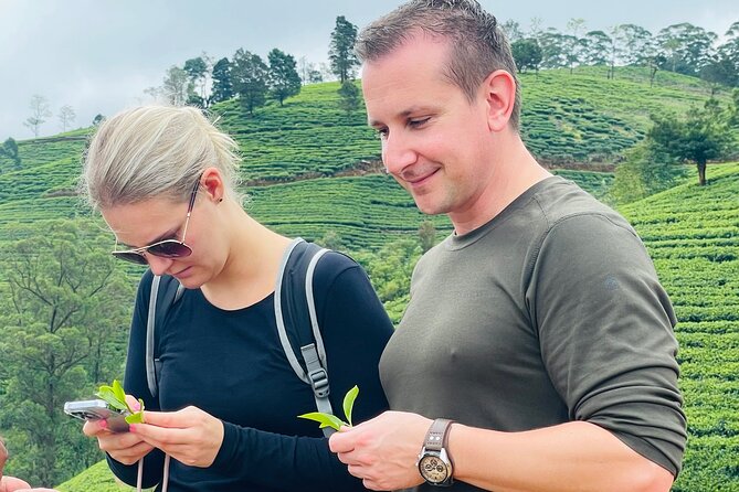 NuwaraEliya Tea Factory,Plantation & Water Falls Hike Tour by Car - What the $56 group price really buys