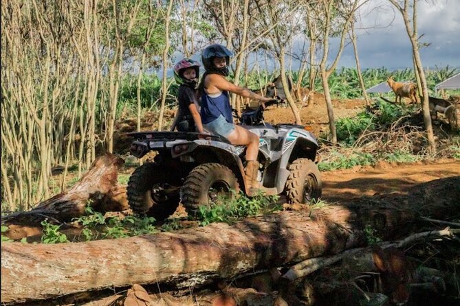 Oahu Beachfront ATV Adventure and Farm Tour - How this compares with a larger Oahu ranch tour