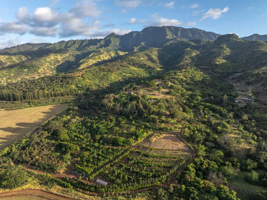 Oahu: Chocolate Farm Tour with Tasting - Kamananui Cacao - Why this farm tour is more than a chocolate tasting
