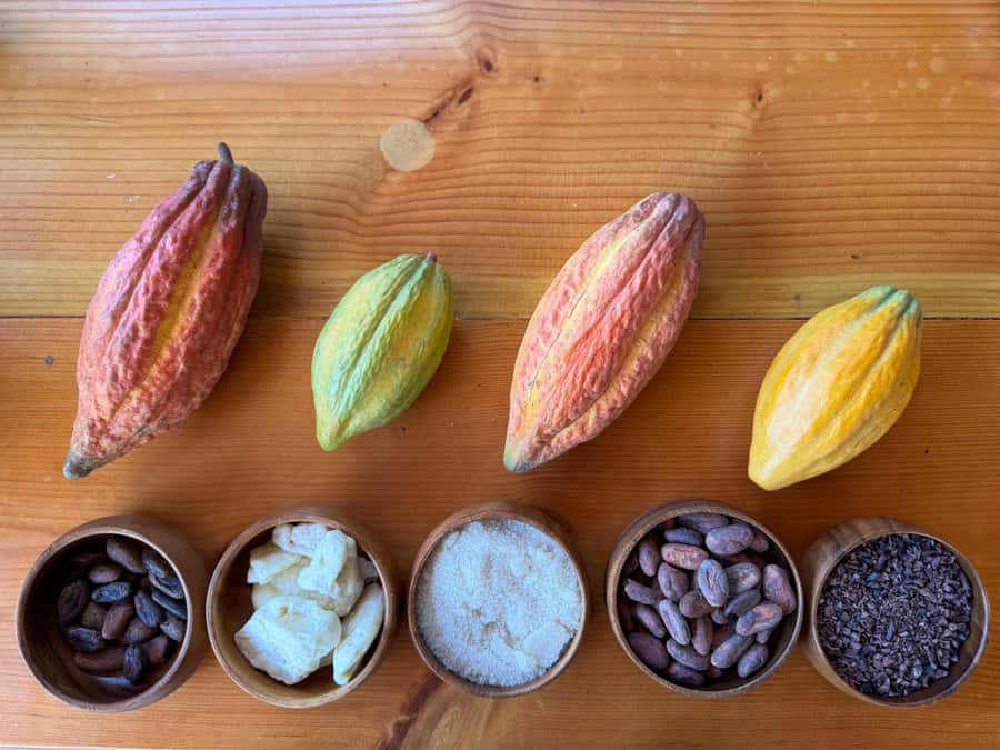 Oahu: Chocolate Farm Tour with Tasting - Kamananui Cacao - The chocolate tasting at the end