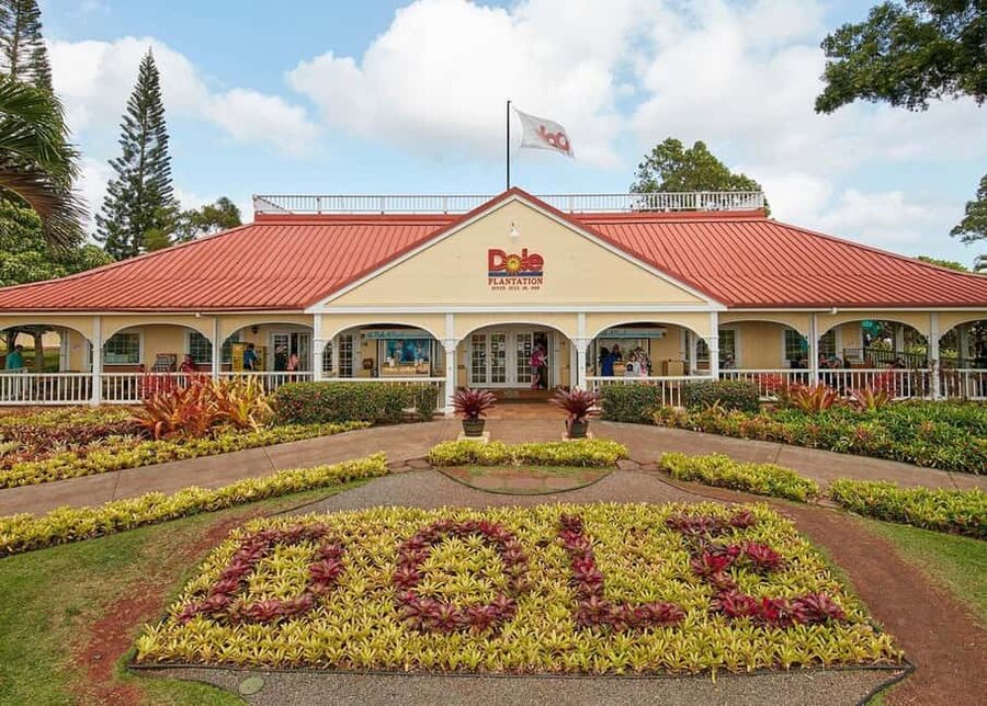 Oahu: Dole Plantation & Haleiwa Express Deluxe Tour - Key points to know before you book