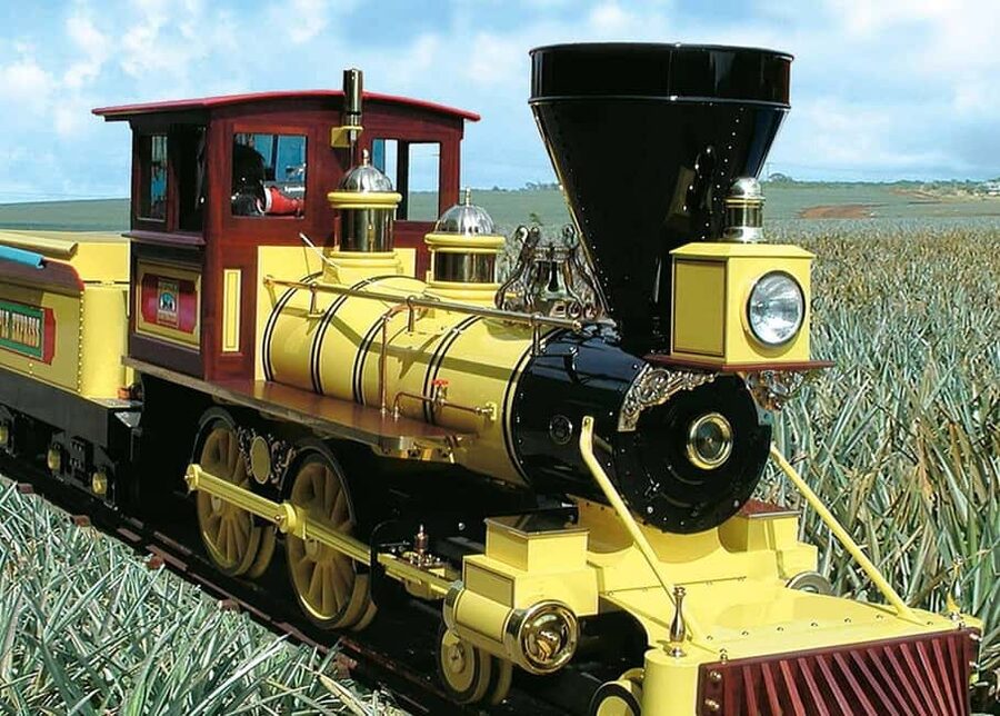 Oahu: Dole Plantation & Haleiwa Express Deluxe Tour - Dole Plantation and the Pineapple Express