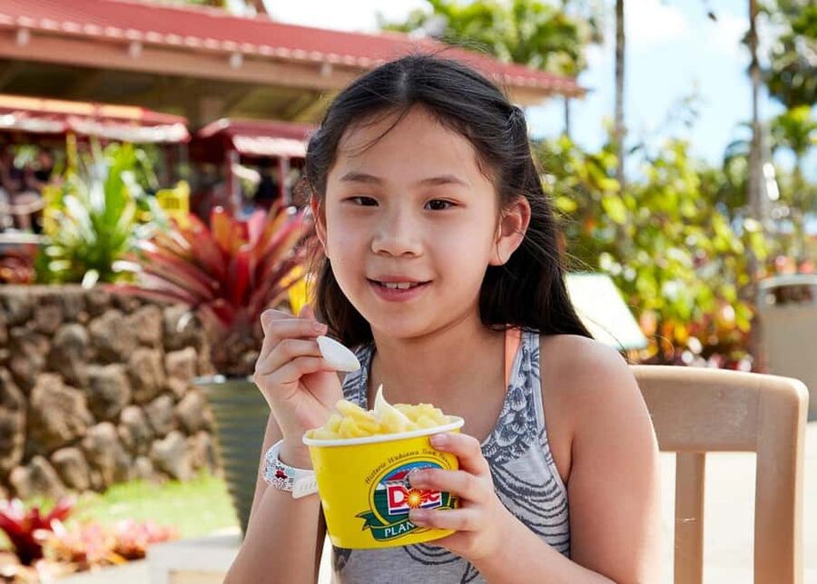 Oahu: Dole Plantation & Haleiwa Express Deluxe Tour - Who should book this Oahu tour?